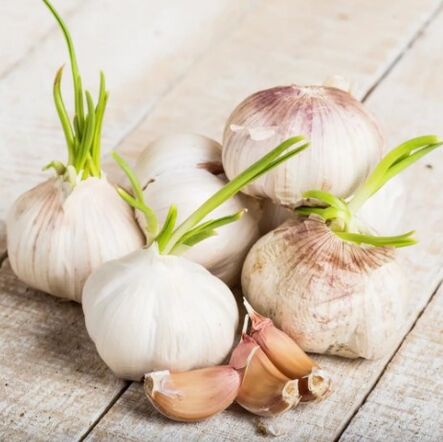 garlic